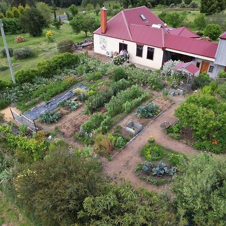 Cherry Top Farmstay - Boutique Eco Village Lilydale Exterior photo