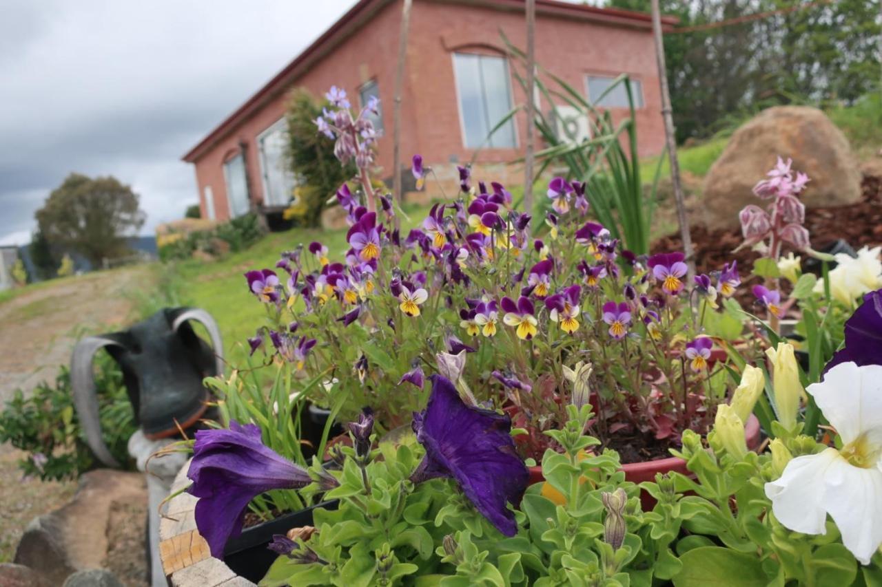 Cherry Top Farmstay - Boutique Eco Village Lilydale Exterior photo