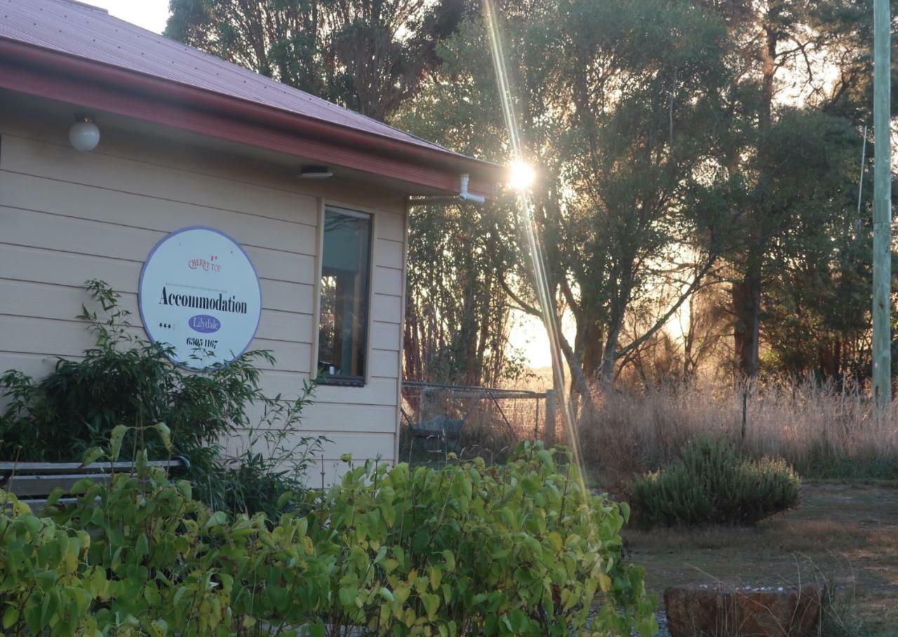 Cherry Top Farmstay - Boutique Eco Village Lilydale Exterior photo
